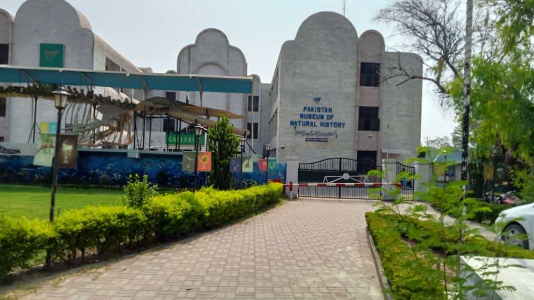 Waheed Clg 2 FG PUBLIC SCHOOL NO.2 GIRLS WAHCANTT -current-image-gallery